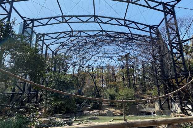 �V�����������e�����C�H��