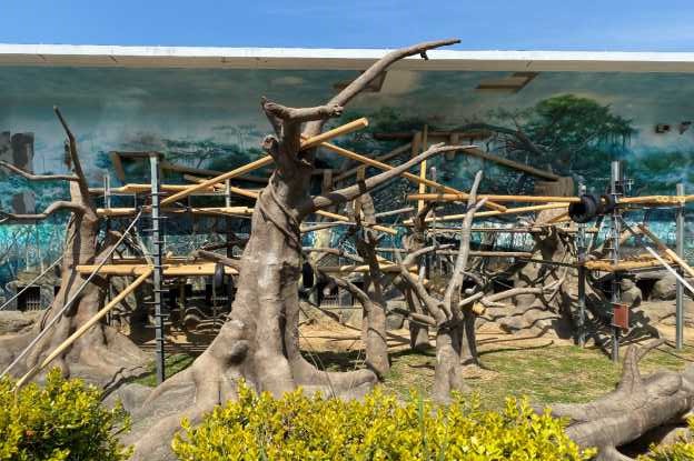 �V�����������e�����C�H��